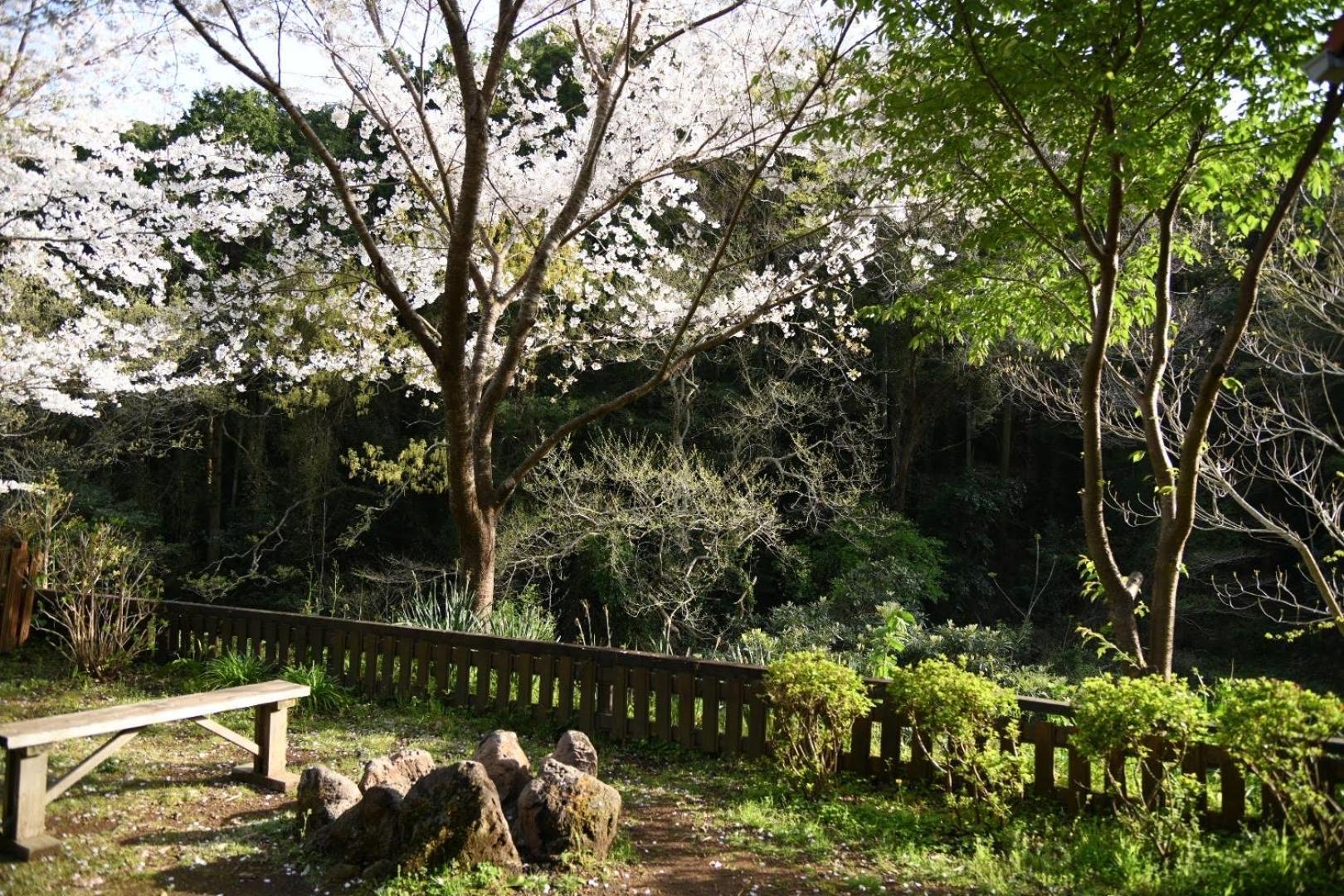 Sunny Side Cottage Shimoda  Exterior foto